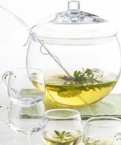 Leonardo Bowle Punch -WMF-Geschäft 026282 1 K