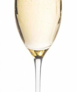 Leonardo Sektglas Chateau, 6er Set