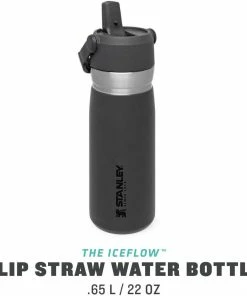 Stanley Becher, 0,65l, Grau -WMF-Geschäft 222 674501 web2