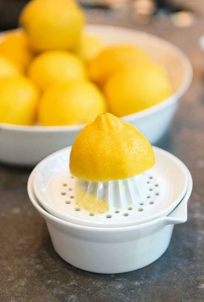 ASA Zitruspresse 250°C 4 ASA Zitruspresse 250°C – Bild 2